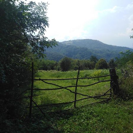 Guesthouse Smiljanic Slavkovica Dış mekan fotoğraf