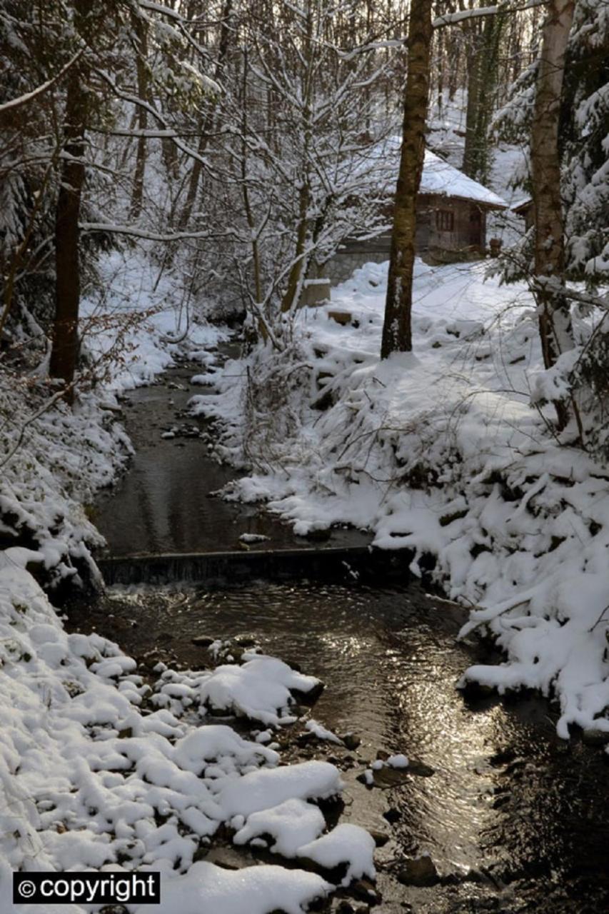 Guesthouse Smiljanic Slavkovica Dış mekan fotoğraf